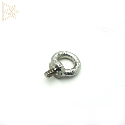 Stainless Steel 316 / 304 Forged Eye Bolt DIN580